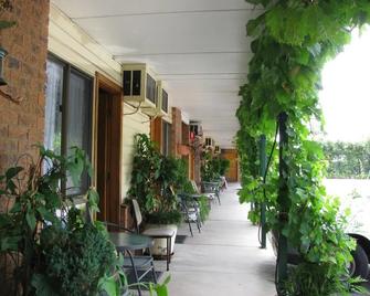 The Wayfarer Motel - Muswellbrook - Terasa