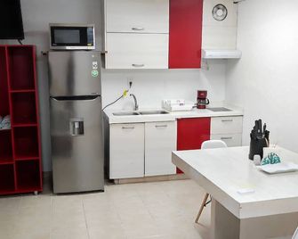 Room in Studio - New Basement Loft With all the Amenities - Morelia - Kitchen