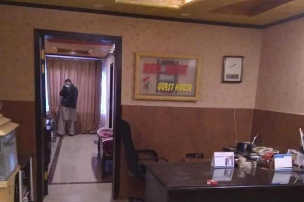 Hotel Pyramid International
