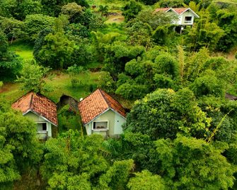 Elenor Cottages - Chinnakanal - Building