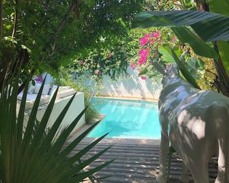 Dar Marsa Cubes - La Marsa - Piscine