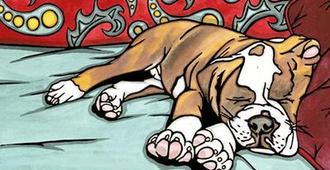 Sleeping Bulldog Bed and Breakfast - Σιάτλ