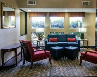 Comfort Inn & Suites Love Field-Dallas Market Center - Dallas - Lounge