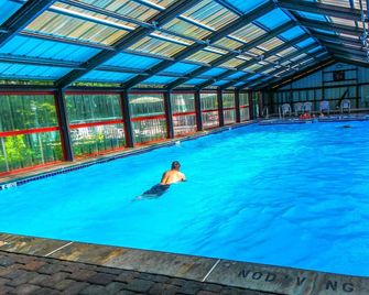Alpine Crest Resort - Helen - Piscine