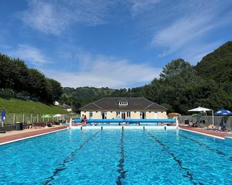 Auberge du Pont de Lanau - Neuvéglise-sur-Truyère - Piscine