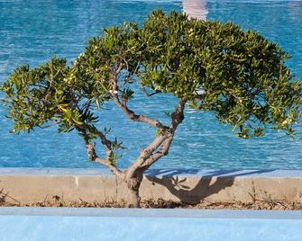 Mrs Chryssana Beach Hotel - Platanias - Pool