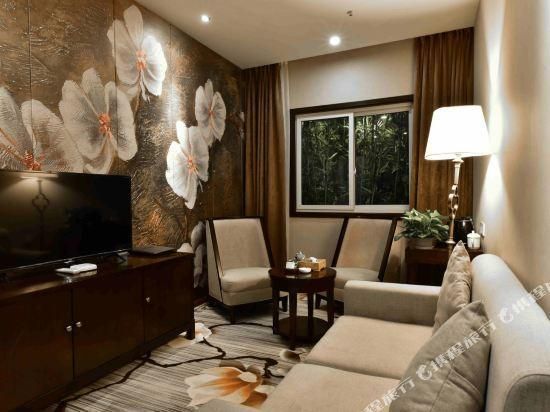 Aosilin Hotel (Chongqing Ronghui Hot Spring Town) - تشونغتشينغ - غرفة معيشة