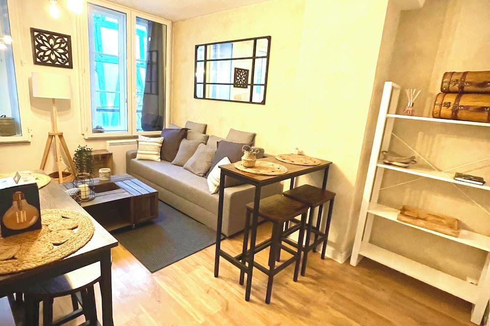 Le Charmant Paillot Hyper Centre classé - Troyes - Living room