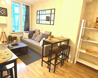 Le Charmant Paillot Hyper Centre classé - Troyes - Living room