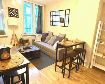 Le Charmant Paillot Hyper Centre classé - Troyes - Living room