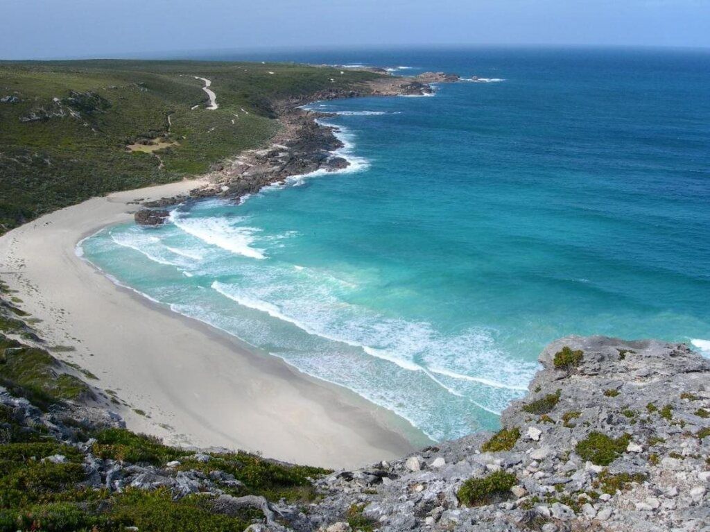 Harmony Forest Cottages & Lake side Lodge - פורסט גרוב (אוסטרליה) - חוף