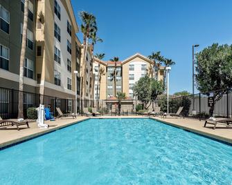 Homewood Suites by Hilton Phoenix - Metro Center - Phoenix - Piscina