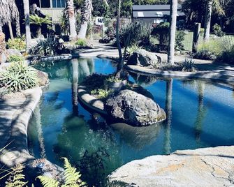 Gemini Lodge - Rotorua - Pool