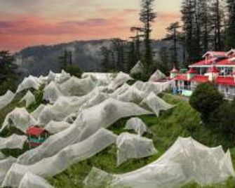 Haritage House Kufri By Splendid Retreat Hotels - Kufri - Outdoor view