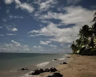 Turtles, Swim Beachfront Ocean view, Air condition, Wash-dryer in unit, parking - Hauula - Living room