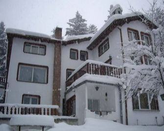 Villa Sveti Dimitar - Borovets - Clădire