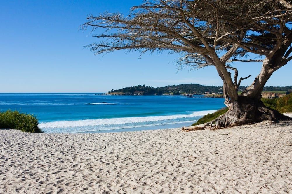 Comfort Inn Monterey Peninsula Airport - מונטריי - חוף