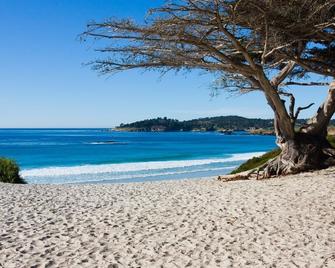 Comfort Inn Monterey Peninsula Airport - Monterey - Beach