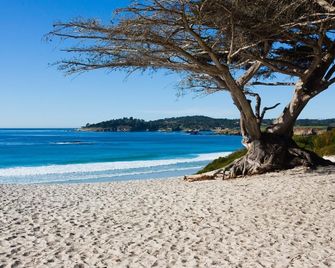Comfort Inn Monterey Peninsula Airport - Monterey - Beach