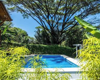 Cabaña Cocodrilo - Samara (Costa Rica) - Piscine