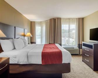 Comfort Inn and Suites Perry National Fairgrounds Area - Perry - Bedroom