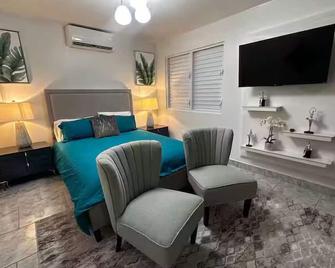 Puerto Rico Villa Guesthouse - Barceloneta - Chambre