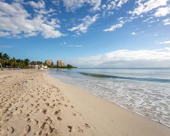 Ocean View Penthouse Casa Galicia 634N condo - Salvador - Playa