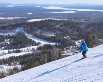 Ski Condo & Spa - L'Elegance Des Sommets - Thetford Mines