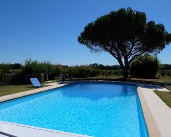 Standing, exceptional place private pool13x6, enclosed park 3000 M2 Free Wifi - Bégadan - Pool