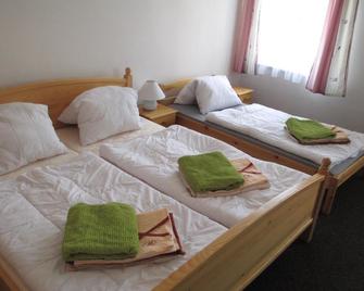 Penzion Pancer - Vejprty - Habitación