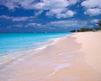 Oceanview 2 bed, 2 bath, steps away from clubhouse, beach and pool. - Bailey Town - Beach