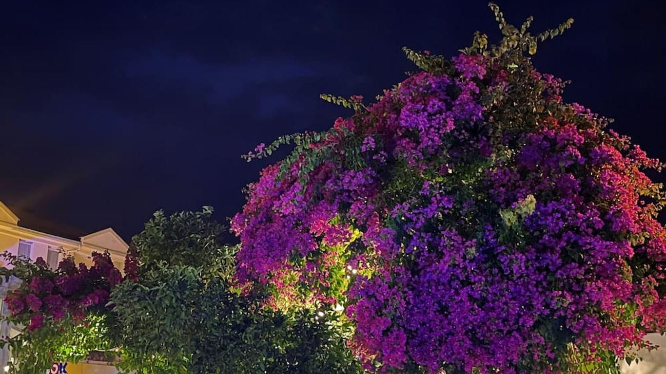 Grandma's Garden