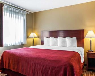Quality Inn and Suites Davenport near I-80 - Davenport - Bedroom