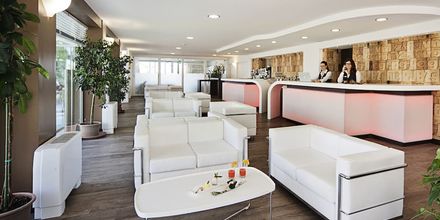 Hotel Adlon Fronte Mare à partir de 79 Hôtels à Riccione KAYAK