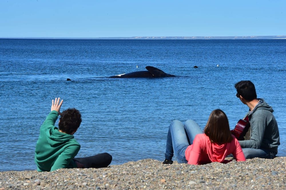 La Tosca Hostel - Puerto Madryn