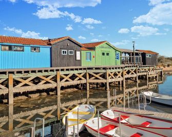 Awesome Home In Dolus-D'Oleron With Sauna - Dolus-d'Oléron