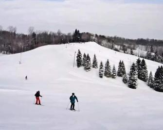 Studio apartment in Otsego Resort - Gaylord - Property amenity