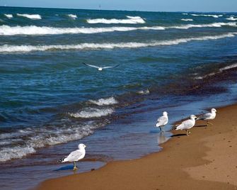Walk to Lake Michigan Beach from Cottage in the Woods - Seaside Fired Smores - Michigan City - Beach