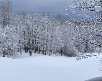 Ski In/ Ski Out Lodging At Black River Basin - Bessemer - Outdoors view