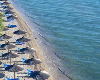 Delfinia Hotel - Moraitika - Strand