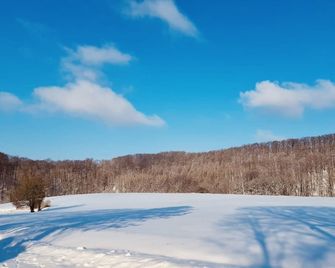 Komfort-Ferienhaus - Extertal Ferienpark - Entspannung, Natur, Wald, Familie #51 - Extertal - Pool