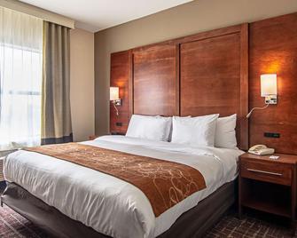 Comfort Suites Nw Dallas Near Love Field - Dallas - Bedroom