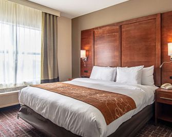 Comfort Suites Nw Dallas Near Love Field - Dallas - Habitación