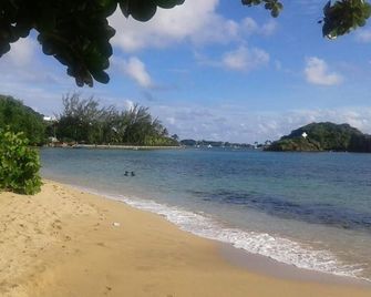 The Milligan Guest House - Kingstown - Playa