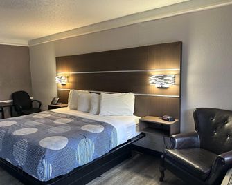 La Quinta Inn By Wyndham Ih-10 West San Antonio Tx - San Antonio - Bedroom