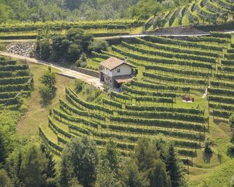 Agriturismo I Comelli - Nimis - Extérieur