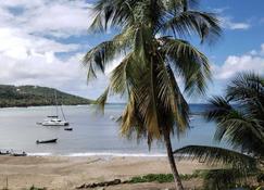 Grenada Rentals Levera Bathway Beach - Morne Fendue - Beach