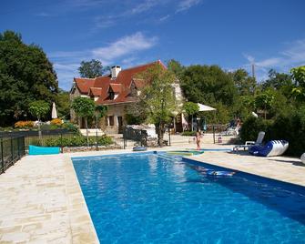 Charming air-conditioned house, with heated and fenced swimming pool, and large garden - Espédaillac - Piscina
