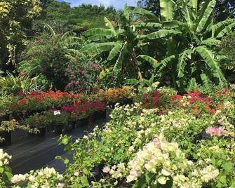 Tropical Studio on Historical Property - Centrally Located Everything St. Croix! - Kingshill - Outdoor view
