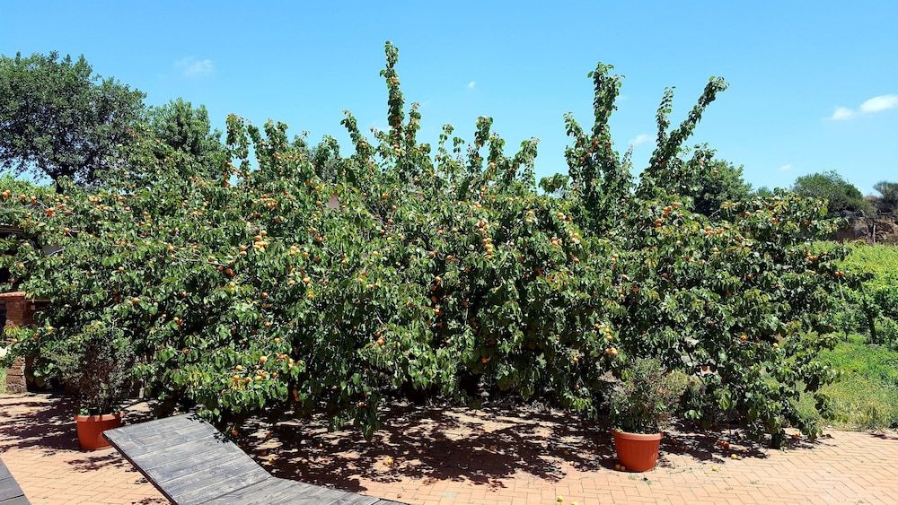 Azienda Agricola Sinisi - Cerveteri - Außenansicht